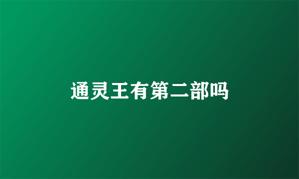 通灵王有第二部吗