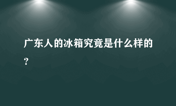 广东人的冰箱究竟是什么样的？