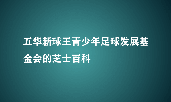 五华新球王青少年足球发展基金会的芝士百科