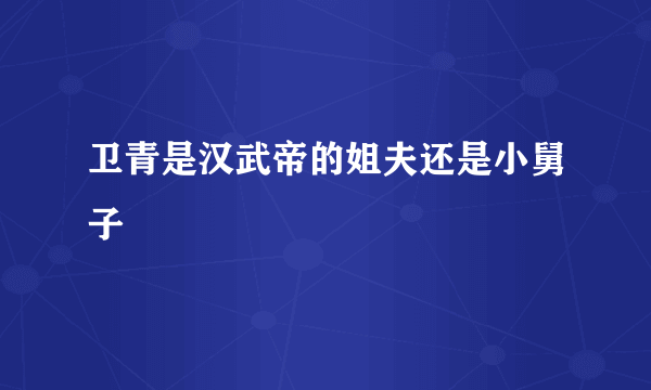卫青是汉武帝的姐夫还是小舅子
