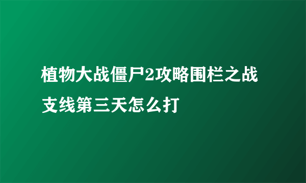 植物大战僵尸2攻略围栏之战支线第三天怎么打