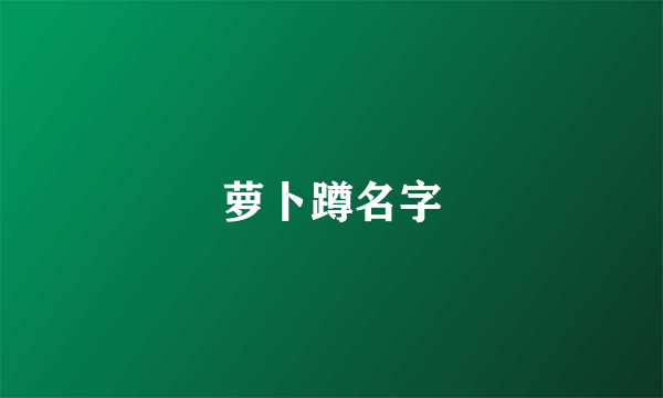 萝卜蹲名字