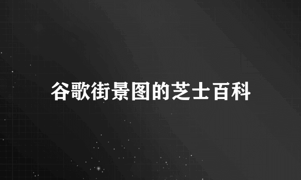 谷歌街景图的芝士百科