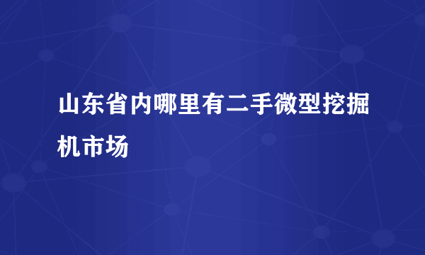 山东省内哪里有二手微型挖掘机市场