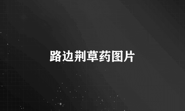 路边荆草药图片