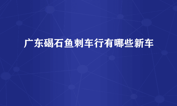 广东碣石鱼刺车行有哪些新车