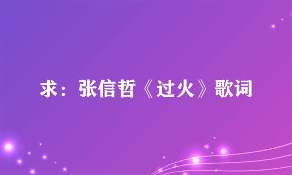 求：张信哲《过火》歌词