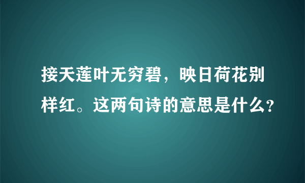 接天莲叶无穷碧，映日荷花别样红。这两句诗的意思是什么？