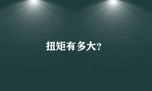 扭矩有多大？
