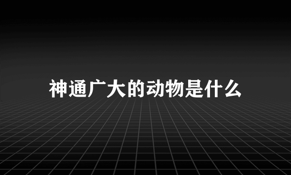 神通广大的动物是什么