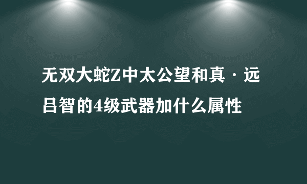 无双大蛇Z中太公望和真·远吕智的4级武器加什么属性