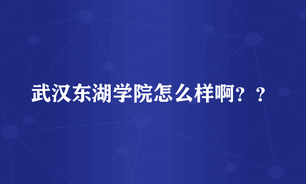 武汉东湖学院怎么样啊？？
