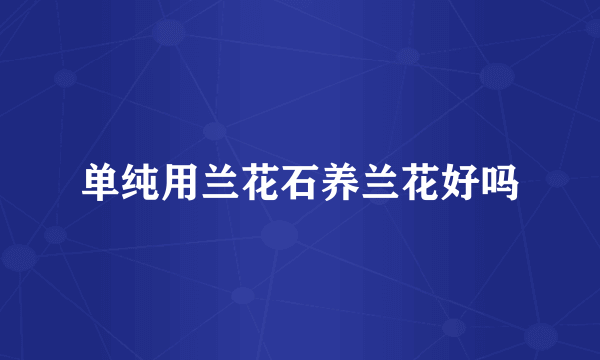 单纯用兰花石养兰花好吗