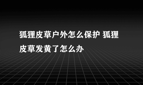 狐狸皮草户外怎么保护 狐狸皮草发黄了怎么办