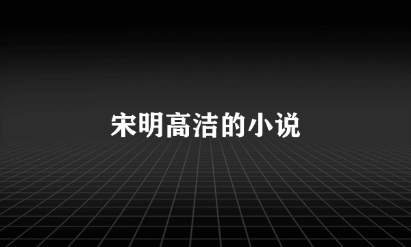宋明高洁的小说