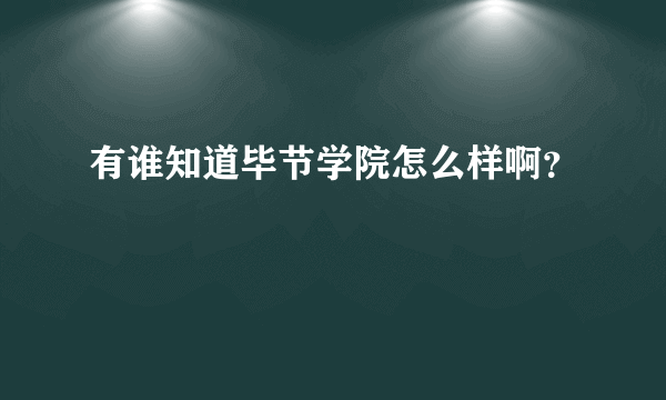 有谁知道毕节学院怎么样啊？