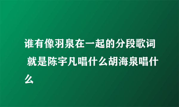 谁有像羽泉在一起的分段歌词 就是陈宇凡唱什么胡海泉唱什么