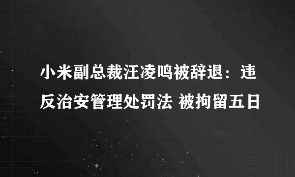 小米副总裁汪凌鸣被辞退：违反治安管理处罚法 被拘留五日