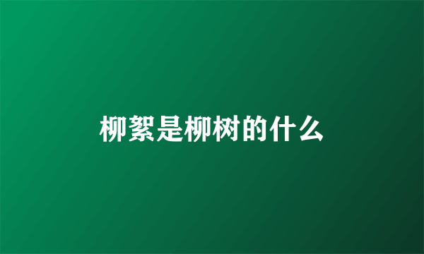 柳絮是柳树的什么