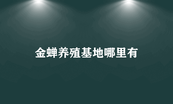 金蝉养殖基地哪里有