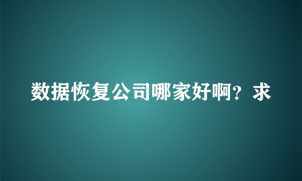 数据恢复公司哪家好啊？求