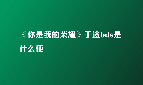 《你是我的荣耀》于途bds是什么梗