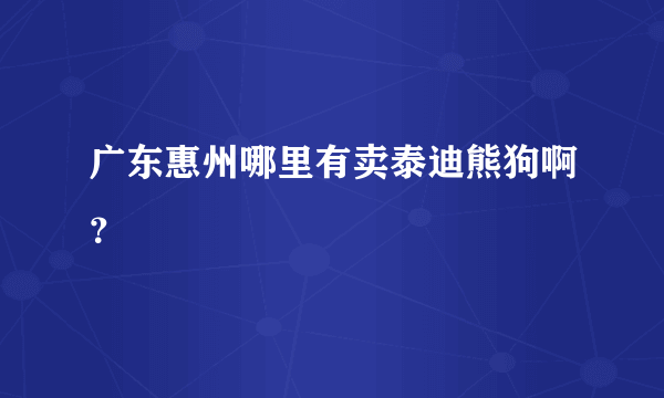 广东惠州哪里有卖泰迪熊狗啊？