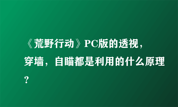 《荒野行动》PC版的透视，穿墙，自瞄都是利用的什么原理？
