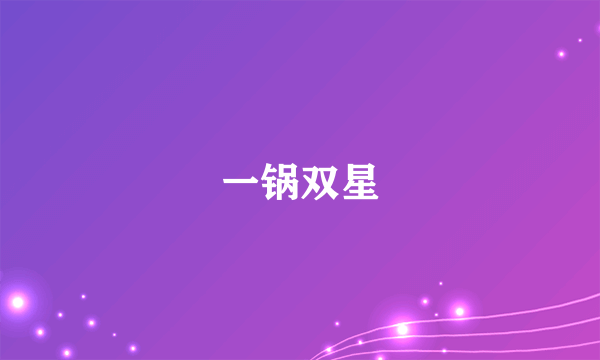 一锅双星