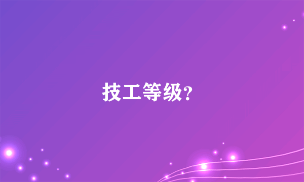 技工等级？