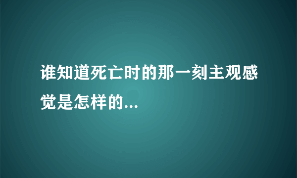 谁知道死亡时的那一刻主观感觉是怎样的...