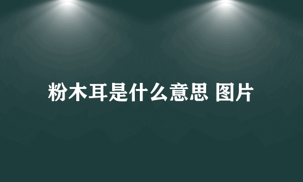 粉木耳是什么意思 图片