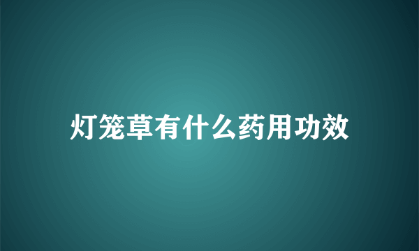 灯笼草有什么药用功效