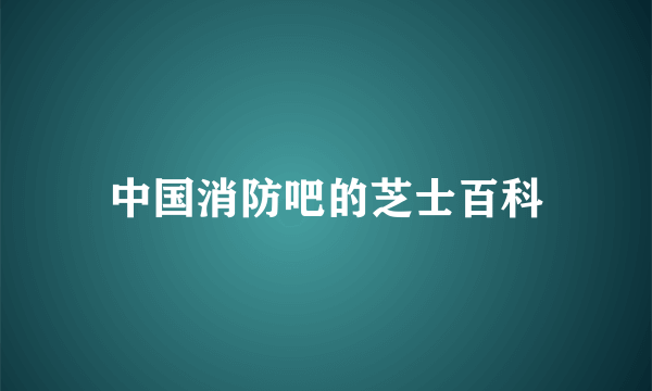 中国消防吧的芝士百科