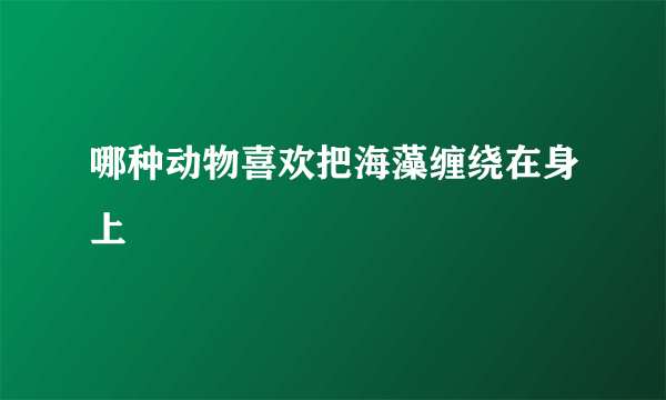 哪种动物喜欢把海藻缠绕在身上