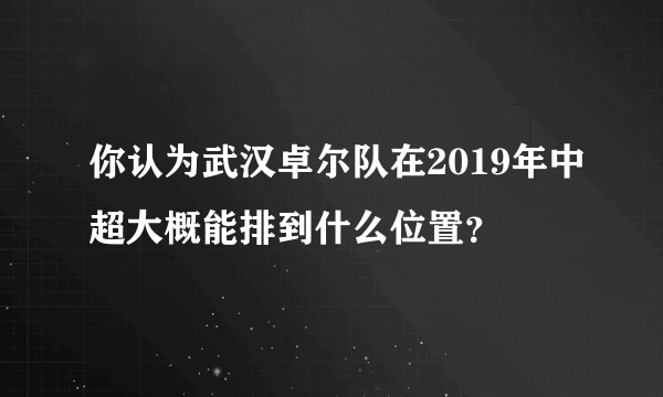 你认为武汉卓尔队在2019年中超大概能排到什么位置？