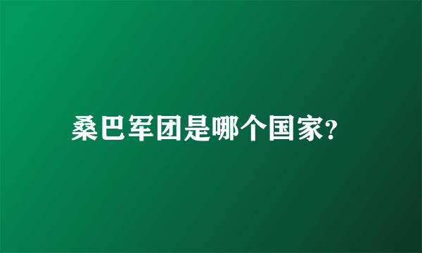 桑巴军团是哪个国家？