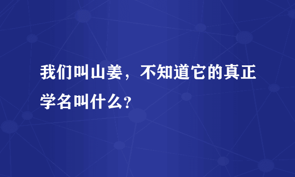 我们叫山姜，不知道它的真正学名叫什么？