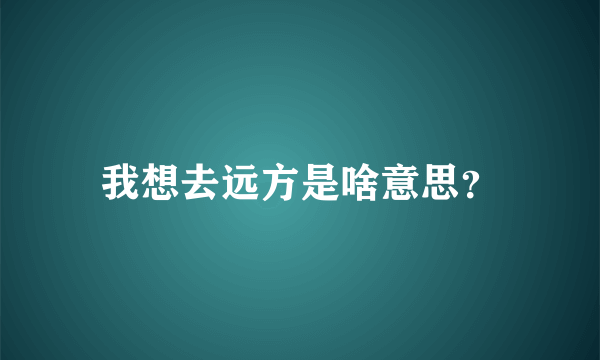 我想去远方是啥意思？