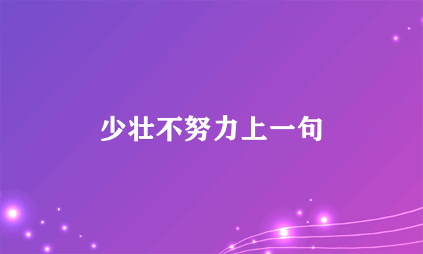 少壮不努力上一句