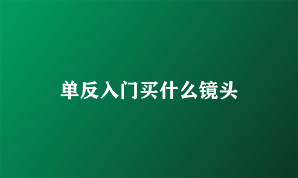 单反入门买什么镜头