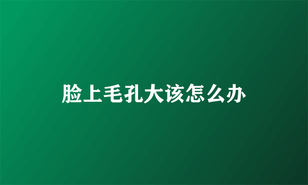脸上毛孔大该怎么办
