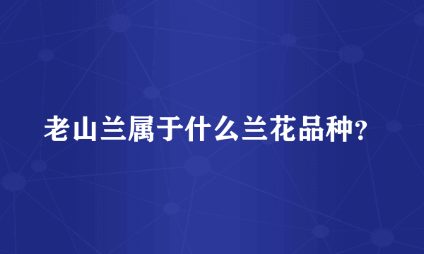 老山兰属于什么兰花品种？