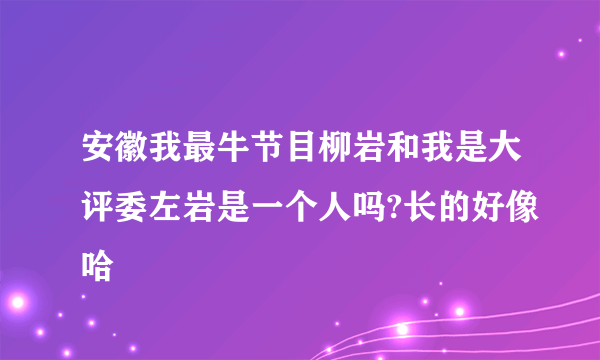 安徽我最牛节目柳岩和我是大评委左岩是一个人吗?长的好像哈