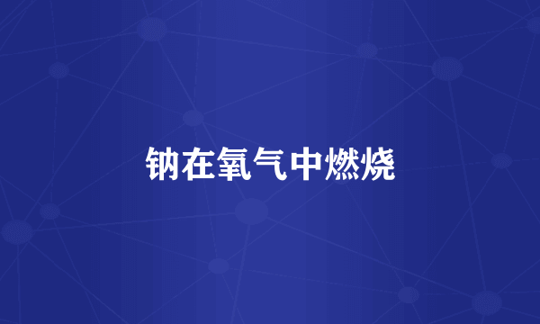 钠在氧气中燃烧