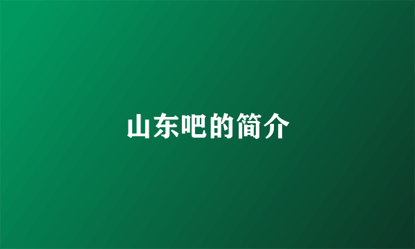 山东吧的简介
