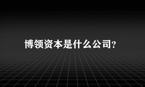 博领资本是什么公司？