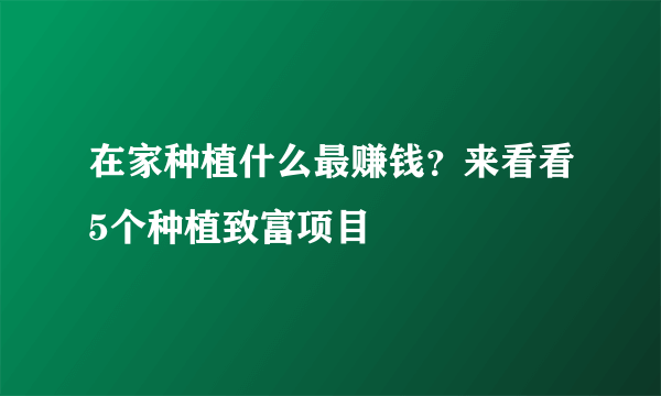 在家种植什么最赚钱？来看看5个种植致富项目