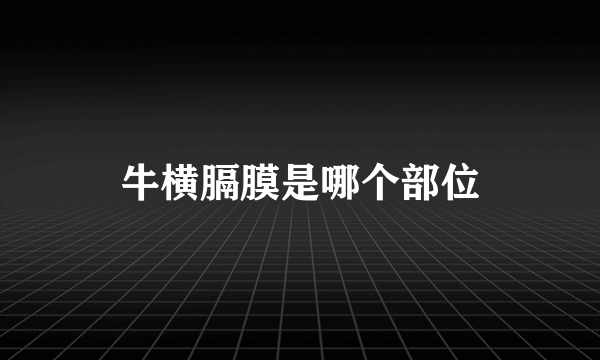 牛横膈膜是哪个部位