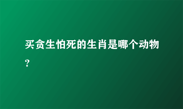 买贪生怕死的生肖是哪个动物？